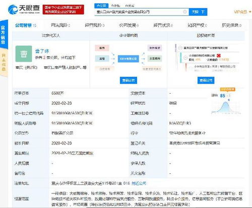 小米落子重慶，成立產融大數據公司，布局區塊鏈與數據處理服務